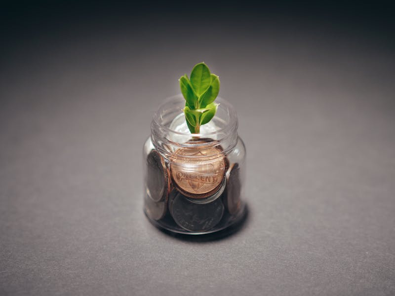 Plant growing from a jar of coins representing financial growth